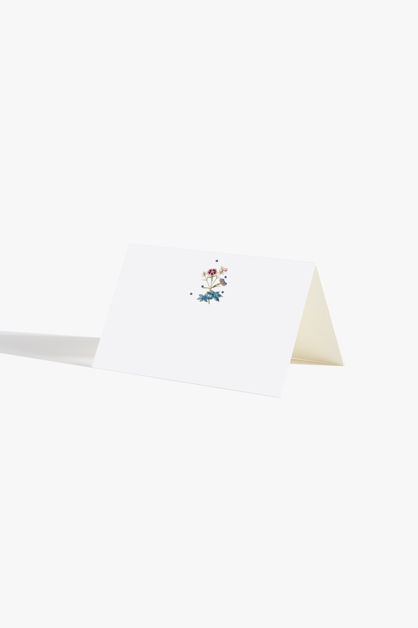 Blueberry Bramble Place Card Set