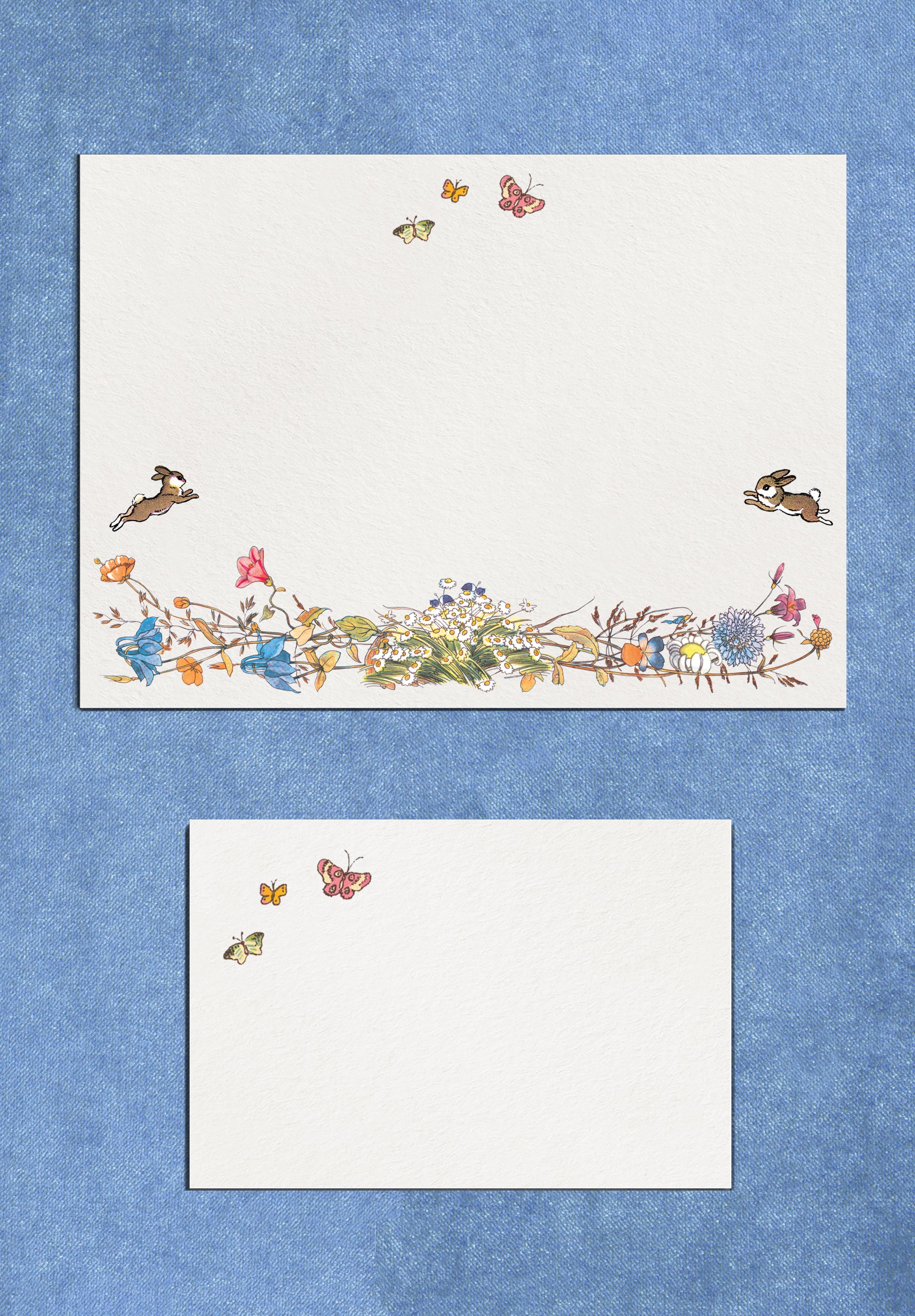 Prairie de Marguerites