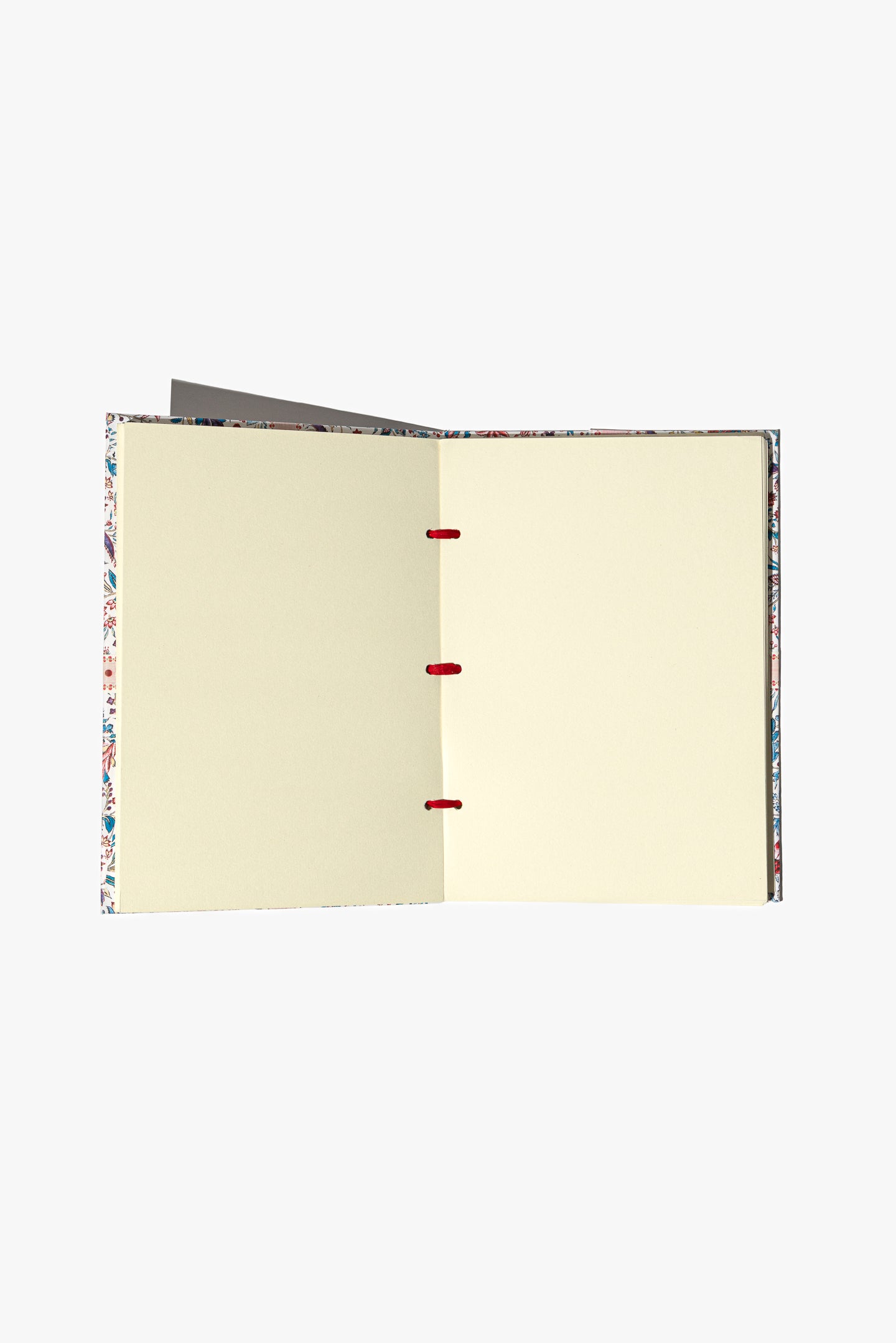 Pineapple's Garden Swan Album