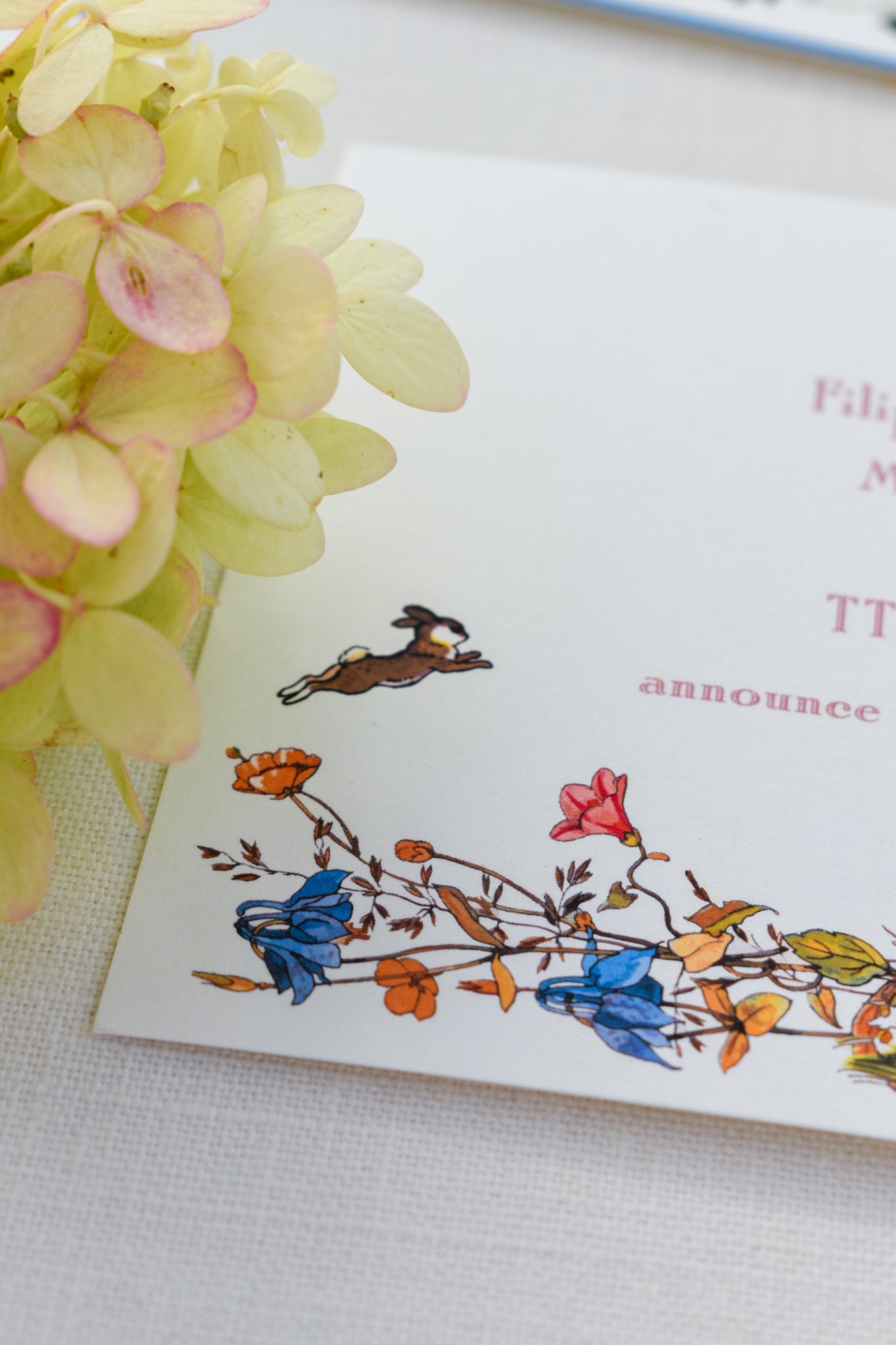 Prairie de Marguerites